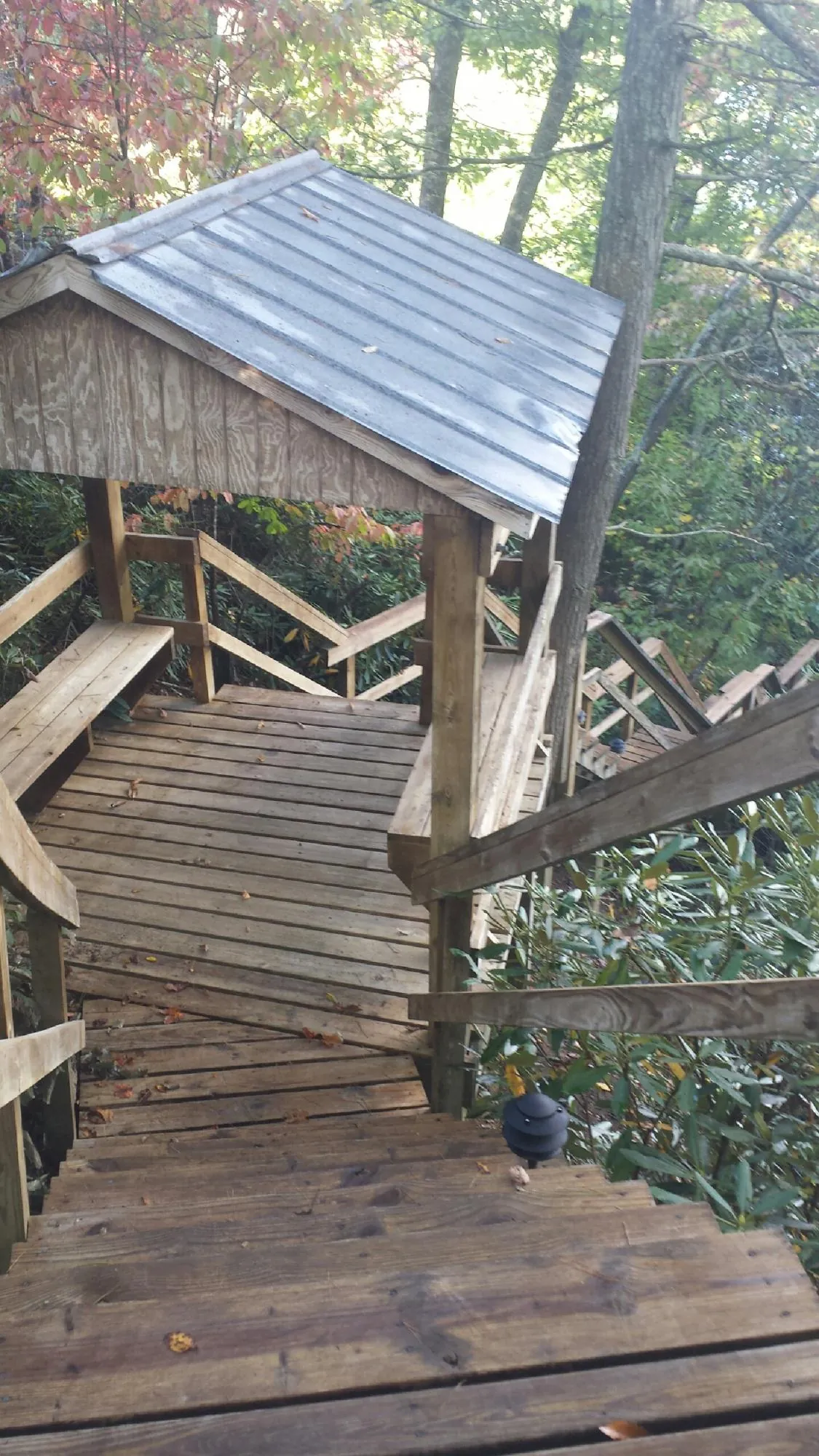Metal roofed shelter over wooden steps on a wooded walkway — Skylight Repair & Installation work by our crew in Salvisa